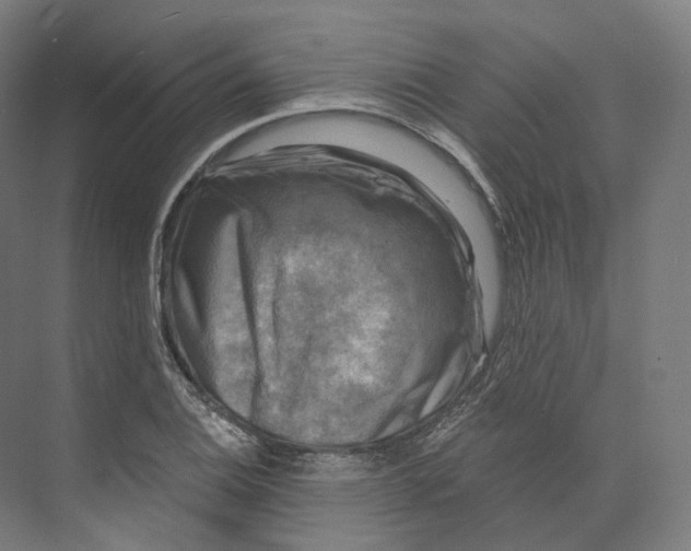 X0000073861124200609071626