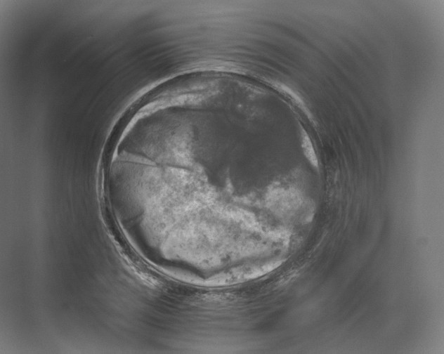 X0000073861125200609071626