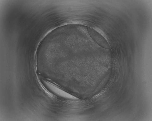 X0000073861127200609071626