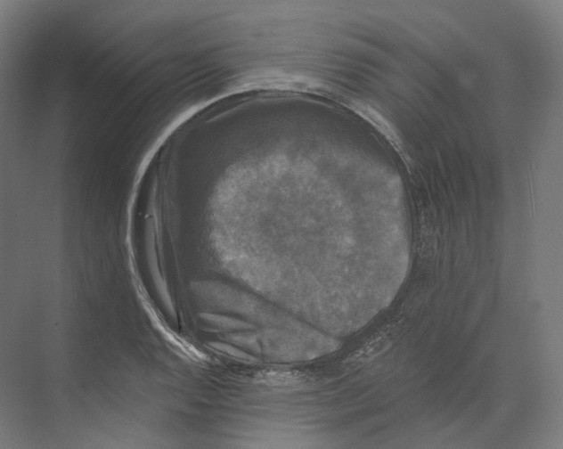 X0000073861128200609071626