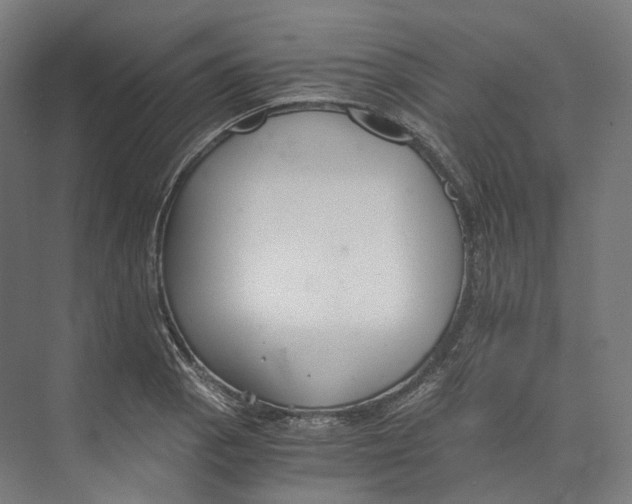 X0000073861129200609071626