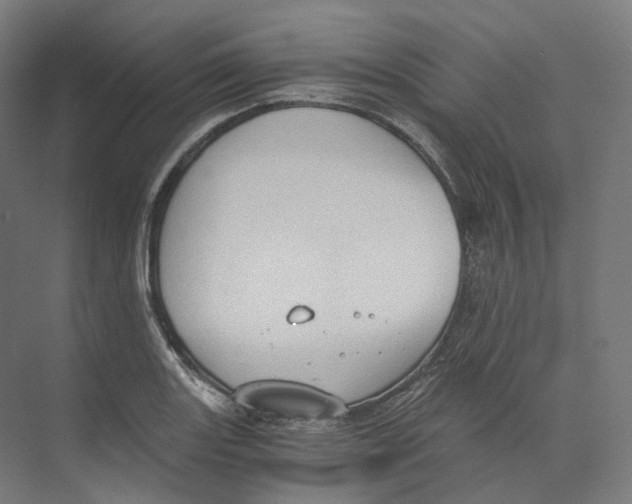 X0000073861131200609071626