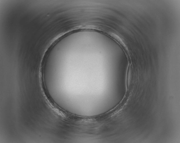 X0000073861133200609071626