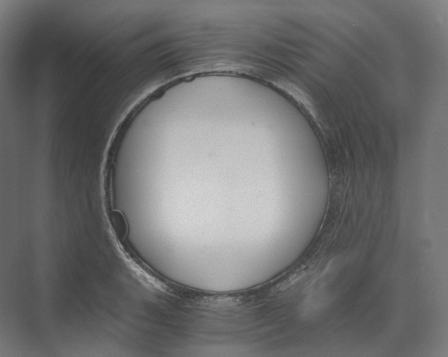 X0000073861135200609071626