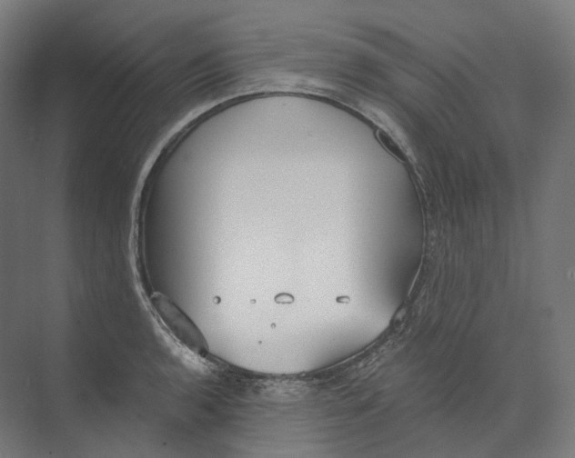 X0000073861136200609071626