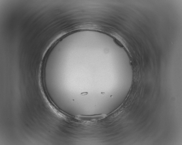 X0000073861139200609071626