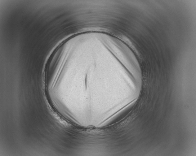 X0000073861140200609071626