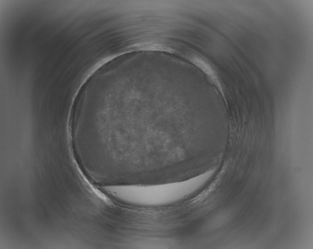 X0000073861141200609071626