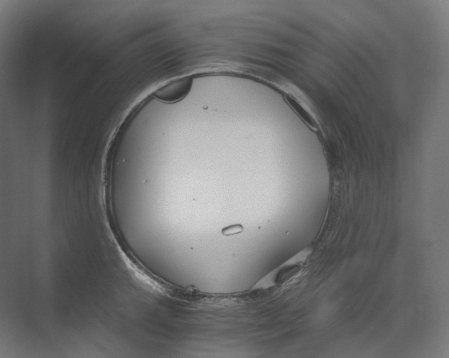 X0000073861143200609071626