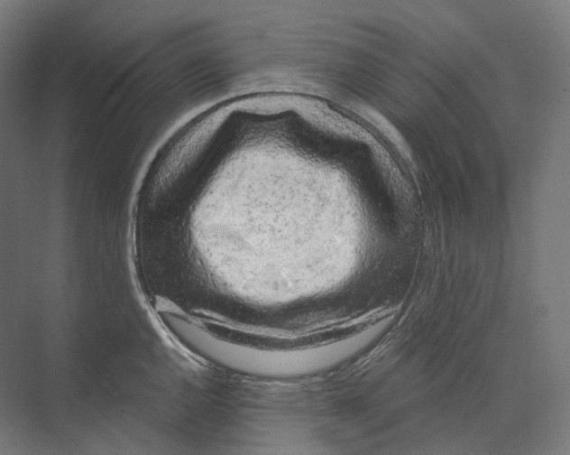 X0000073861144200609071626