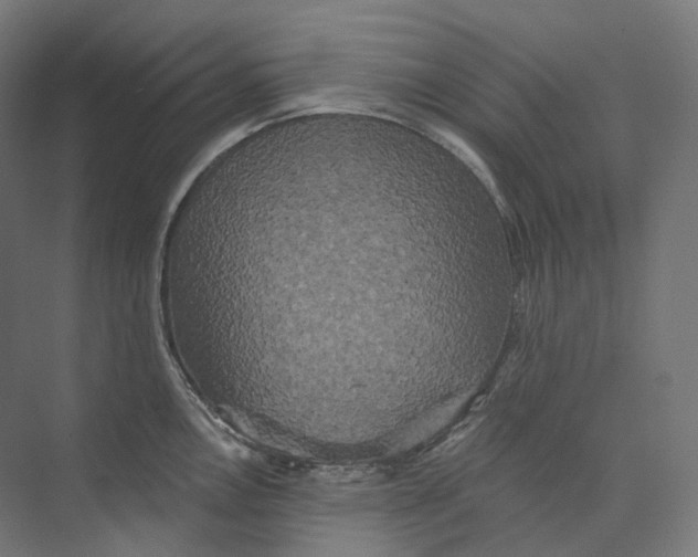 X0000073861146200609071626