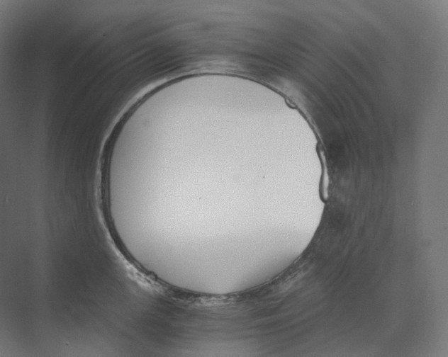 X0000073861147200609071626