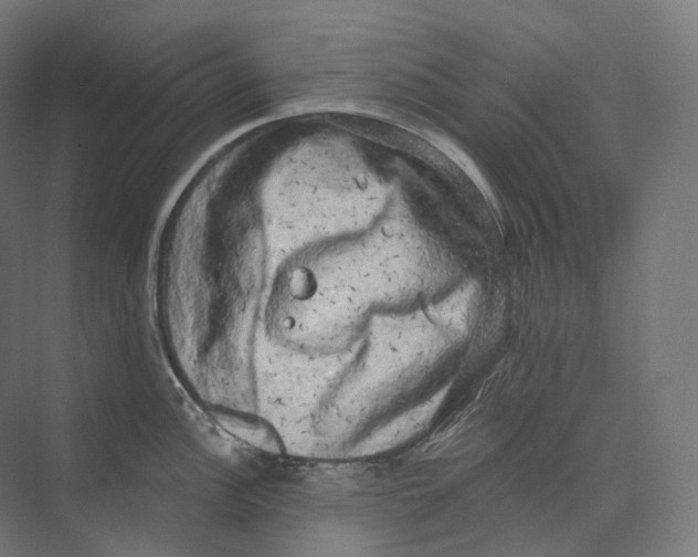 X0000073861148200609071626