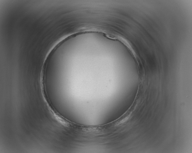 X0000073861149200609071626