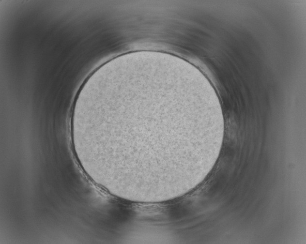 X0000073861150200609071626