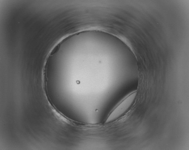 X0000073861151200609071626