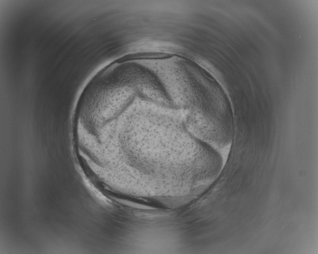 X0000073861152200609071626