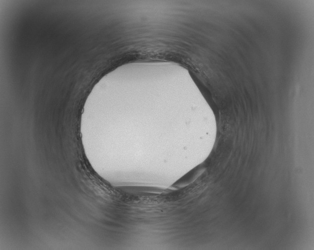 X0000073861153200609071626