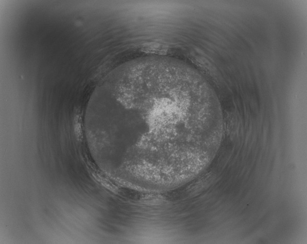 X0000073861154200609071626