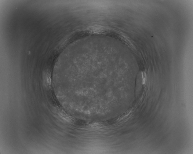 X0000073861155200609071626