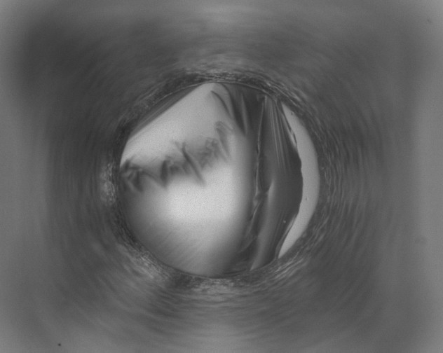 X0000073861156200609071626