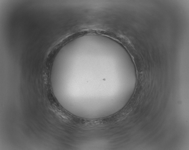 X0000073861159200609071625