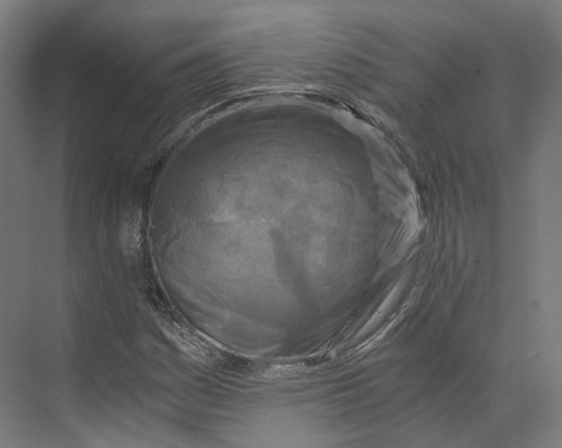 X0000073861161200609071625