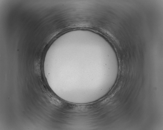 X0000073861162200609071625