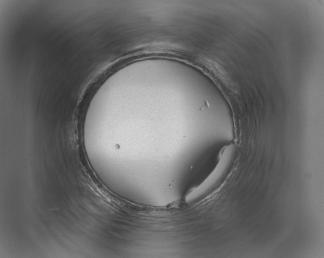 X0000073861164200609071625