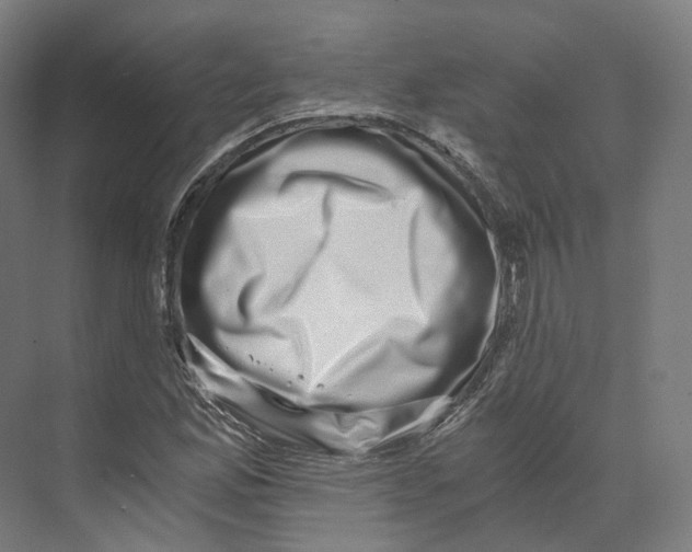 X0000073861165200609071625