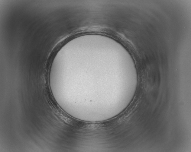 X0000073861166200609071625