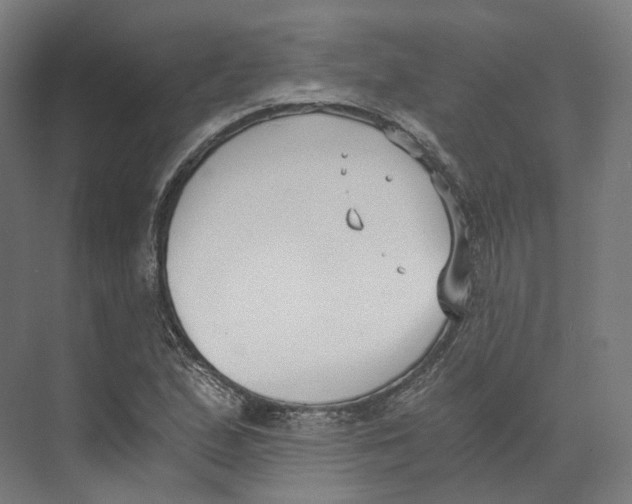 X0000073861167200609071625