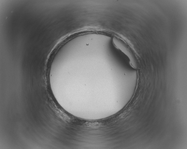 X0000073861168200609071625