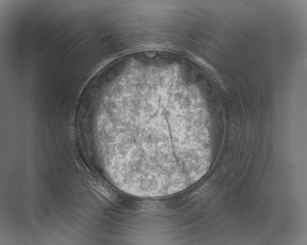 X0000073861170200609071625