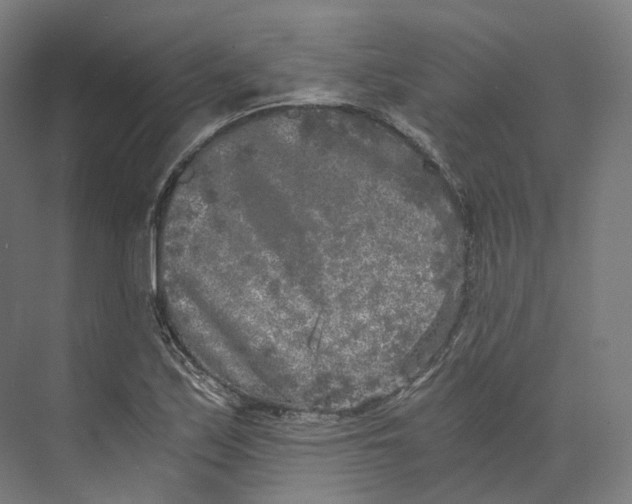 X0000073861171200609071625