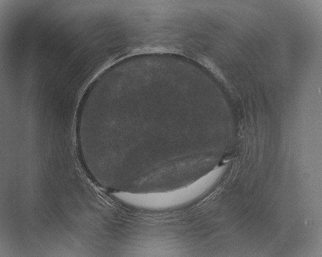 X0000073861173200609071625