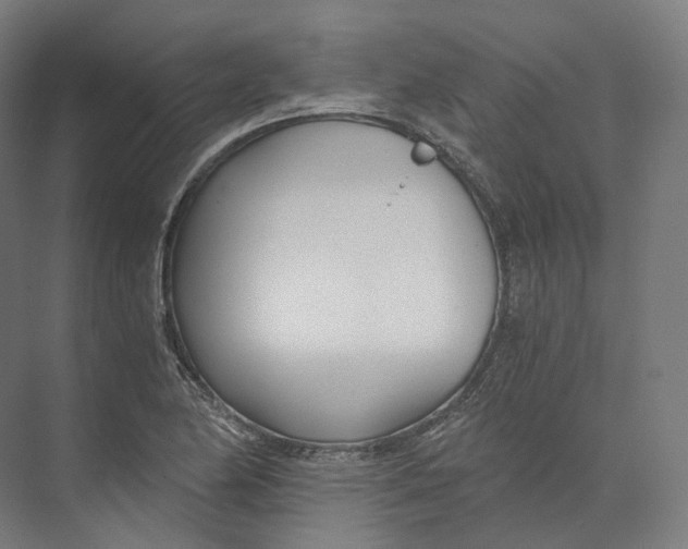 X0000073861174200609071625