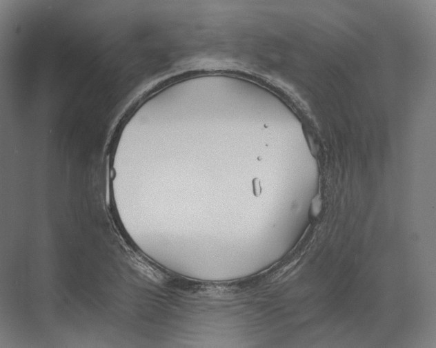 X0000073861175200609071625