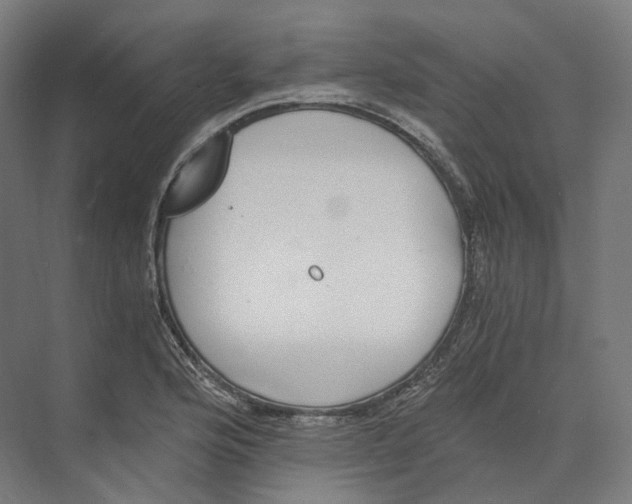 X0000073861176200609071625