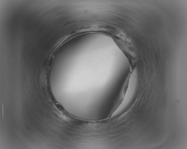 X0000073861177200609071625