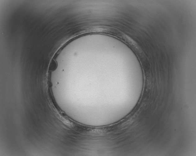 X0000073861178200609071625