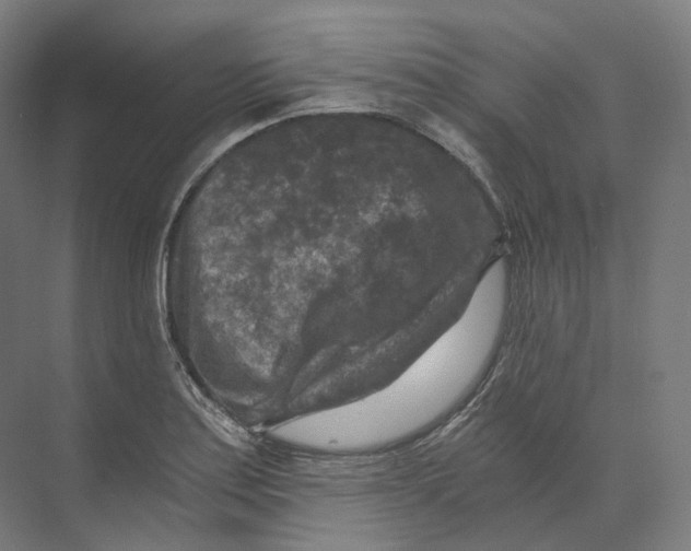 X0000073861179200609071625