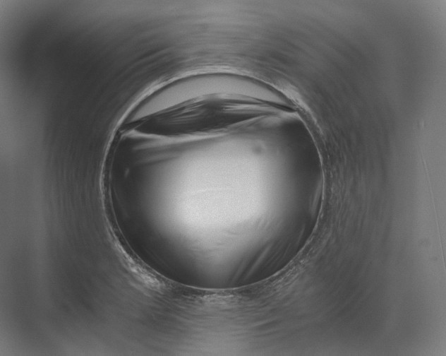 X0000073861181200609071625