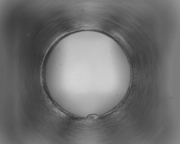 X0000073861182200609071625