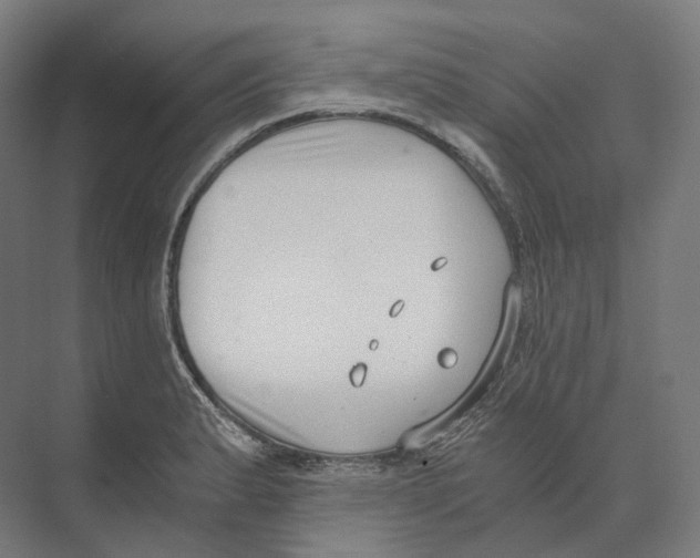 X0000073861183200609071625