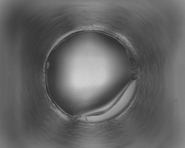 X0000073861184200609071625