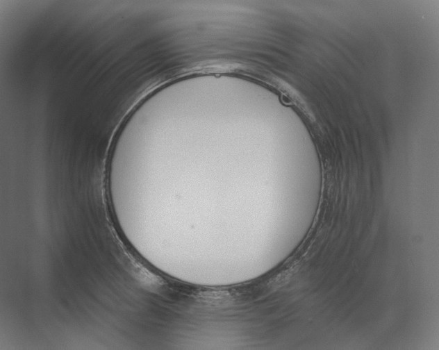 X0000073861186200609071625