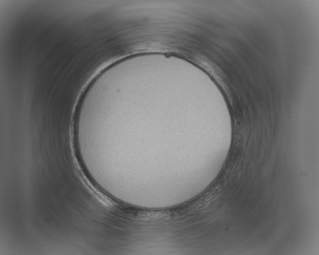 X0000073861187200609071625