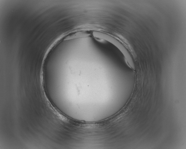 X0000073861188200609071625