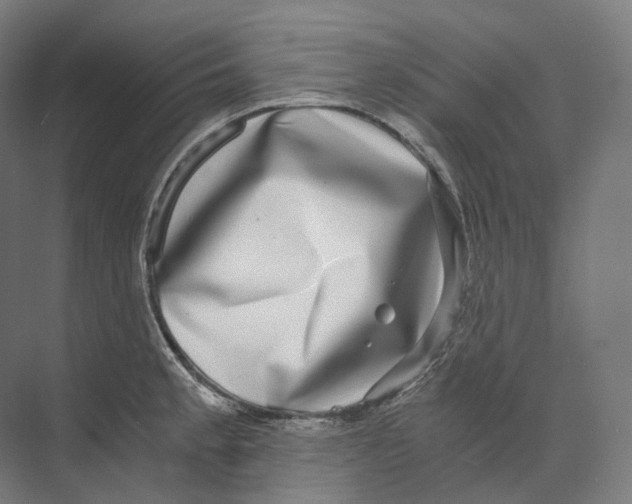 X0000073861189200609071625